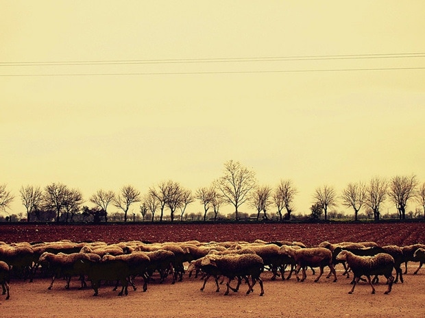 Un borrego en Fuencarral | Diseño de interiores en Madrid | Ivan Cotado Diseño de Interiores