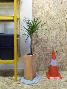 Estudio Iván Cotado Diseño Interior