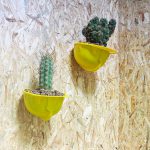 Nuevo estudio Iván Cotado