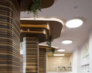 Inspiración arbórea en oficinas de contract en Diseño de showroom de cocinas para Grupo Ramón García