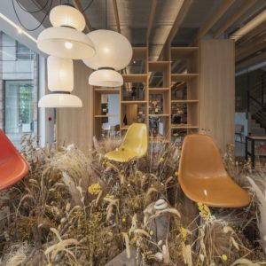 Sillas Vitra y lámparas &Tradition en exposición y escaparate - INteriorismo EStratégico en Galicia - Showroom mobiliario Sutega