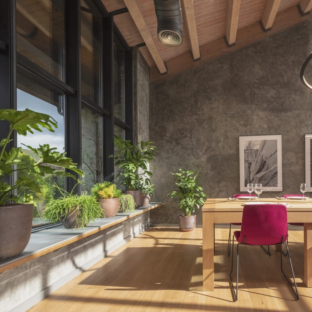Vegetación de Viveros Brandariz en Interiorismo Estratégico en comedor para clientes de CUPA Pizarras