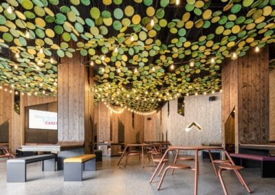 Diseño pulpería La Caseta