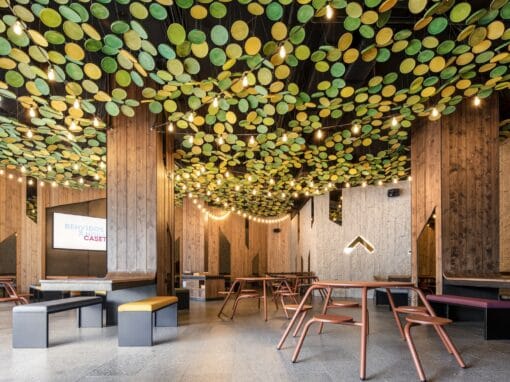 Diseño pulpería La Caseta